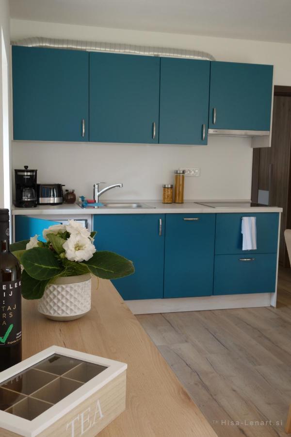 Hisa Lenart Apartment Tolmin Bagian luar foto