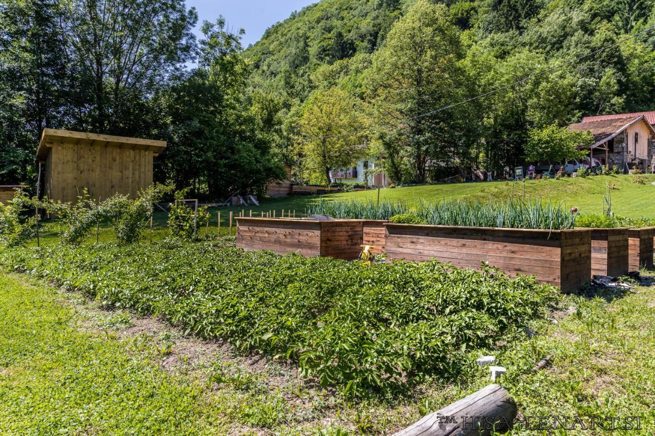 Hisa Lenart Apartment Tolmin Bagian luar foto