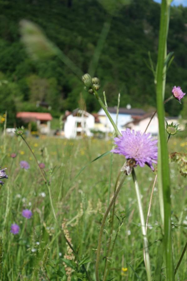 Hisa Lenart Apartment Tolmin Bagian luar foto