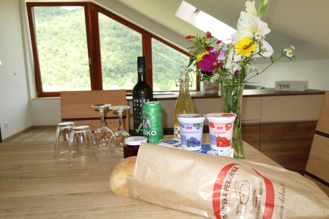 Hisa Lenart Apartment Tolmin Bagian luar foto