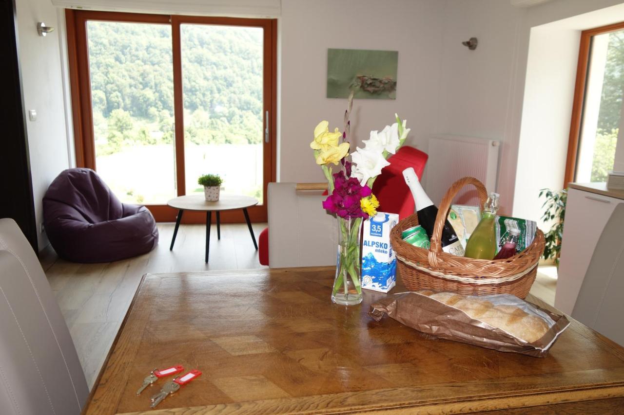 Hisa Lenart Apartment Tolmin Bagian luar foto