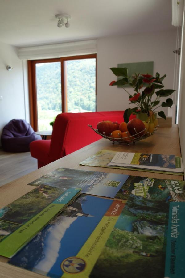 Hisa Lenart Apartment Tolmin Bagian luar foto