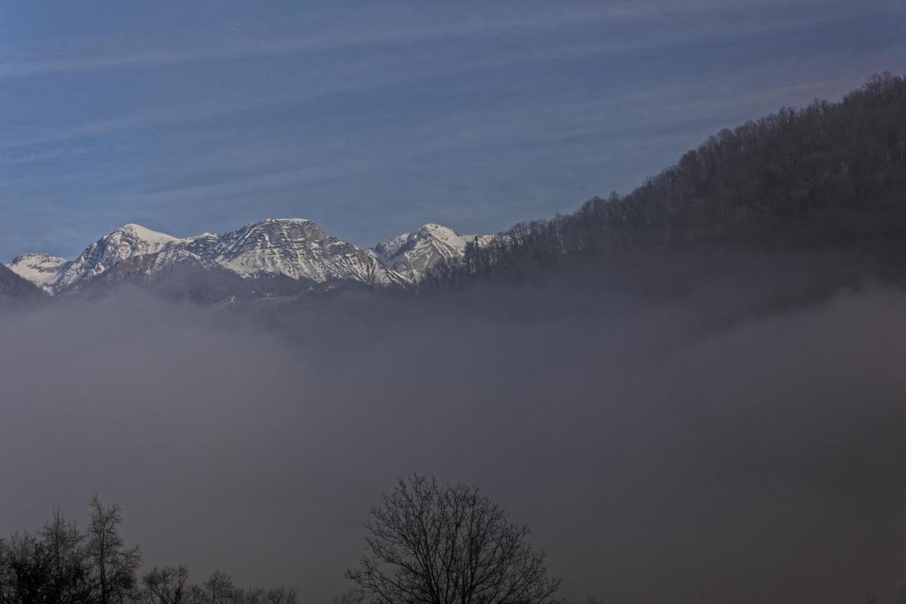 Hisa Lenart Apartment Tolmin Bagian luar foto